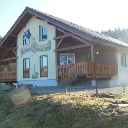 Chalet Du Bucheron Apartment Gerardmer Ngoại thất bức ảnh